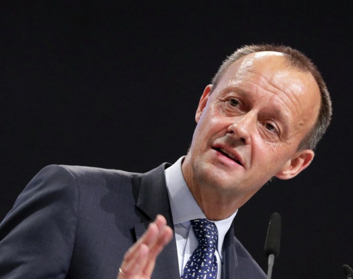 German Merz visits Kyiv as Zelenskyy announces new Contact Group ... Ukraines zelenskiy talk with merz berlin wednesday